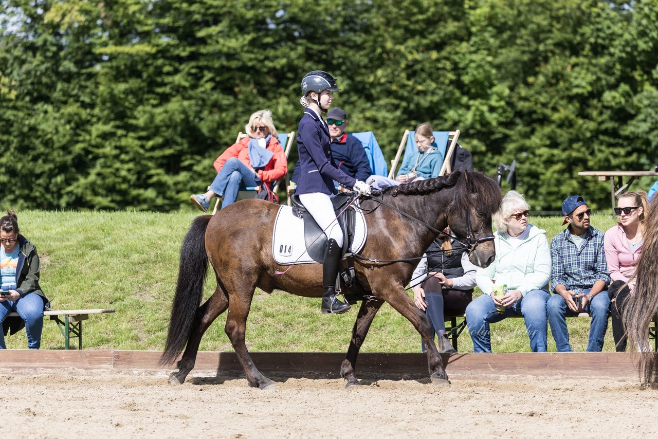 Bild 450 - Pony Akademie Turnier